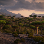 Captura de pantalla 2026-02-24 214914