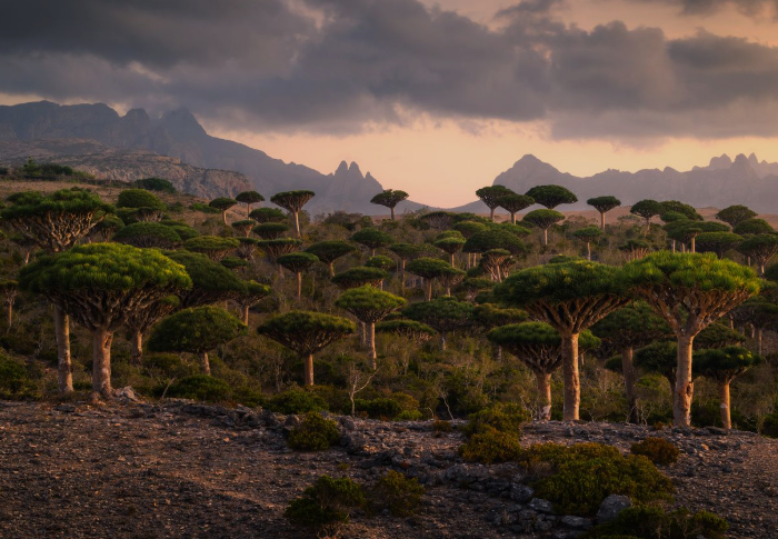 Captura de pantalla 2026-02-24 214914