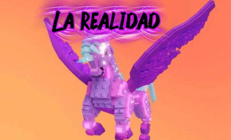 WhatsApp Image 2026-03-13 at 7.19.58 PM